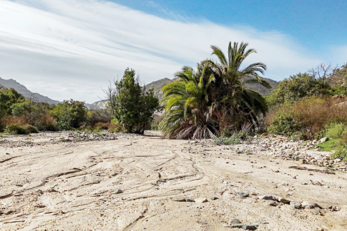 وادي عبال: وجهة طبيعية ساحرة تحتفظ بجمالها جنوب الطائف
