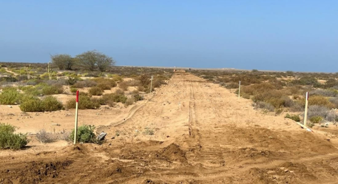 مشروع مسام السعودي: جهود مستمرة لنزع الألغام في اليمن