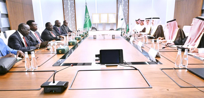 تعزيز التعاون الإنساني مع جنوب السودان عبر مركز الملك سلمان