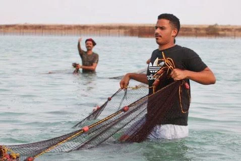 انطلاق مهرجان الحريد في جزر فرسان: تراث جازان الأصيل