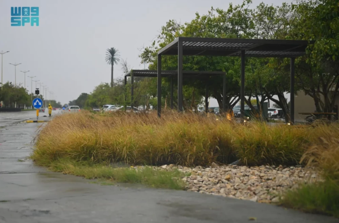 توقعات الطقس في السعودية: أمطار ورياح تضرب مكة والباحة وحائل