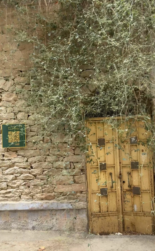 سحر الطائف التراثي: رحلة سيسيليا من باريس إلى قلب الحجاز