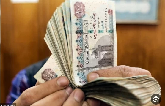 سعر صرف الريال السعودي في مصر: تحديثات وأهمية اقتصادية
