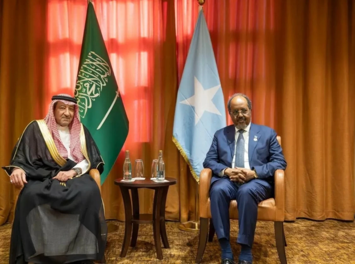 لقاء رئيس الصومال ونائب وزير الخارجية السعودي: تعزيز التعاون