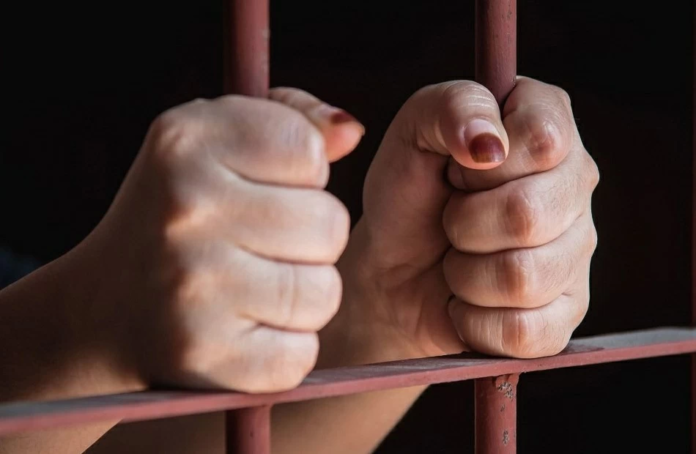 قضية أشرف زكي وياسمينا المصري: مطالب بالحبس وتأجيل المحاكمة