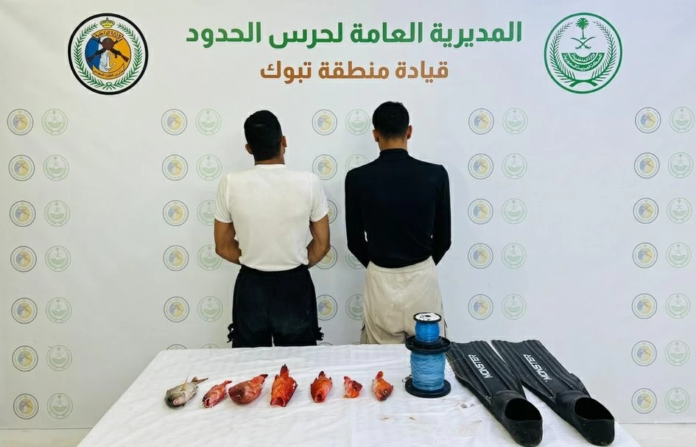 ضبط مخالفين للائحة الأنشطة البحرية في تبوك.. ما أهميتها؟