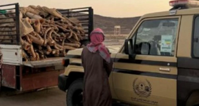 الأمن البيئي يضبط مخالفاً بمحمية الأمير محمد بن سلمان