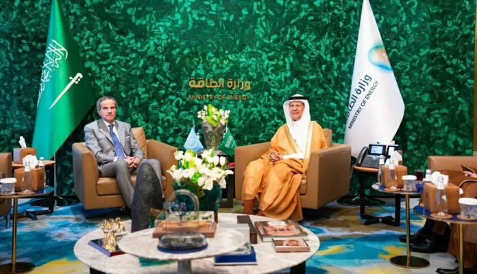 وزير الطاقة يبحث مستجدات البرنامج النووي مع الوكالة الدولية للطاقة الذرية