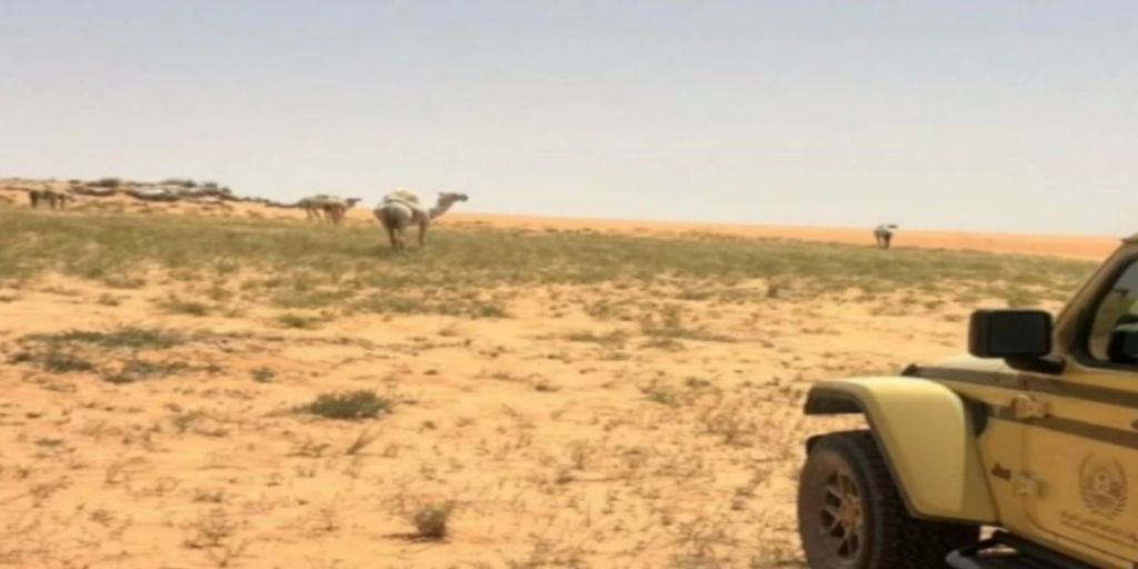 الأمن البيئي يضبط مخالفين في الرياض والمحميات الملكية