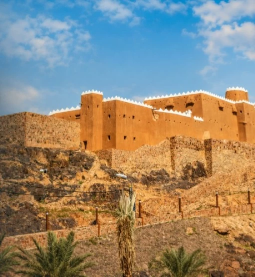 أثر التراث الثقافي في السعودية على خفض معدلات الوفيات