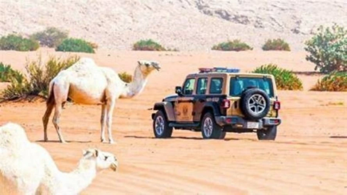 ضبط مخالفات بيئية جديدة في عسير والرياض بجهود الأمن البيئي