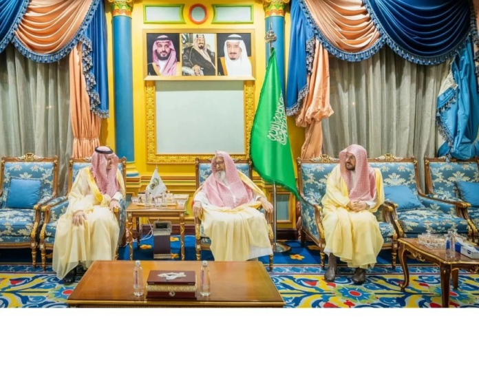 جهود ديوان المظالم في تطوير القضاء الإداري بالمملكة