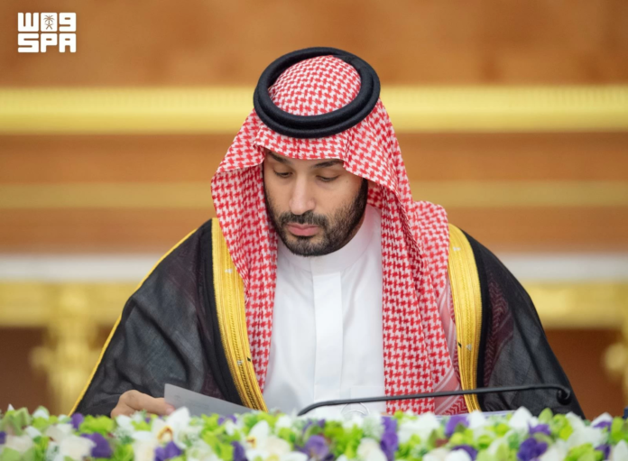 نظام إيرادات الدولة وتأشيرة التدريب: قرارات مجلس الوزراء