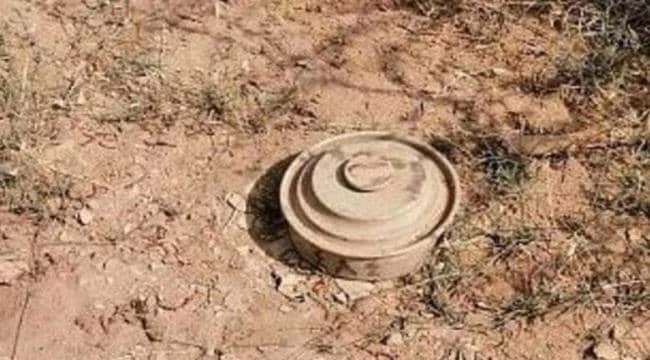 الألغام الحوثية في اليمن: كابوس يهدد حياة المدنيين في نهم