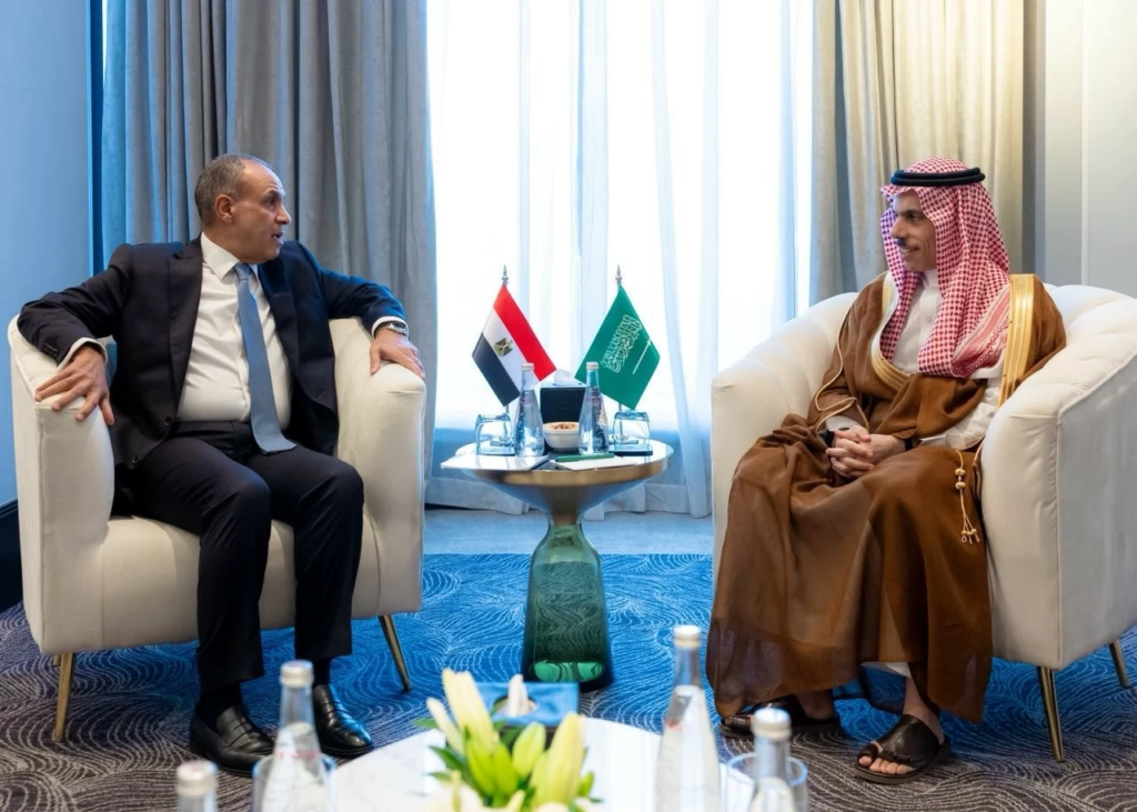 فيصل بن فرحان يبحث مع نظيره المصري مستجدات المنطقة